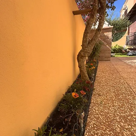 La Pavoncella -